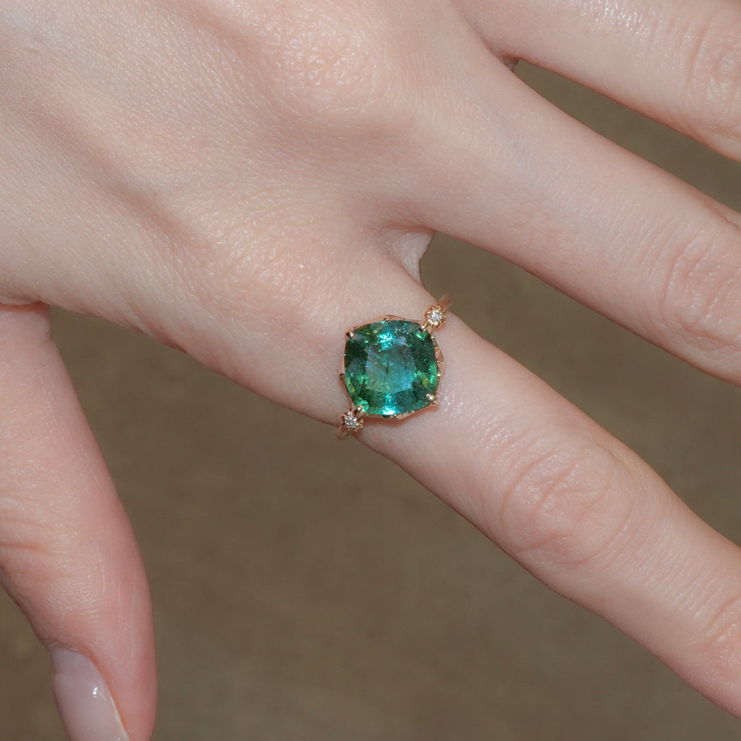 1876_Bicolor Tourmaline