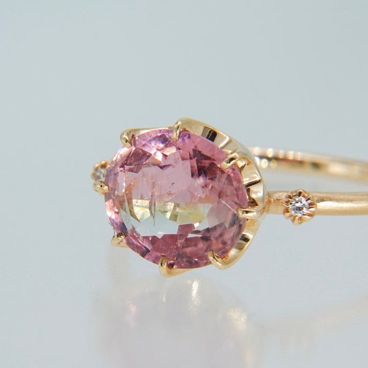 1875_Bicolor Tourmaline