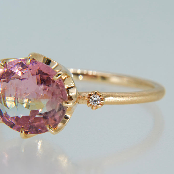 1875_Bicolor Tourmaline