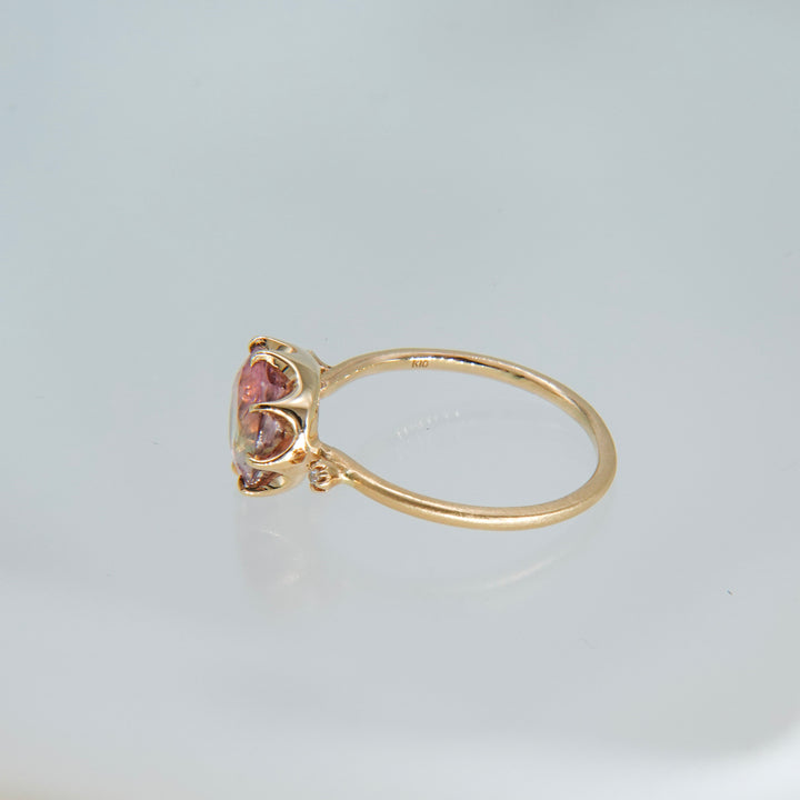 1875_Bicolor Tourmaline