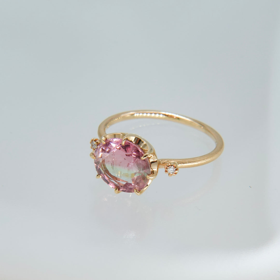 1875_Bicolor Tourmaline