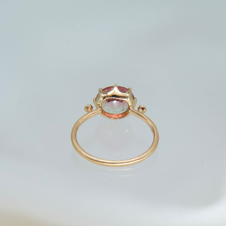 1875_Bicolor Tourmaline