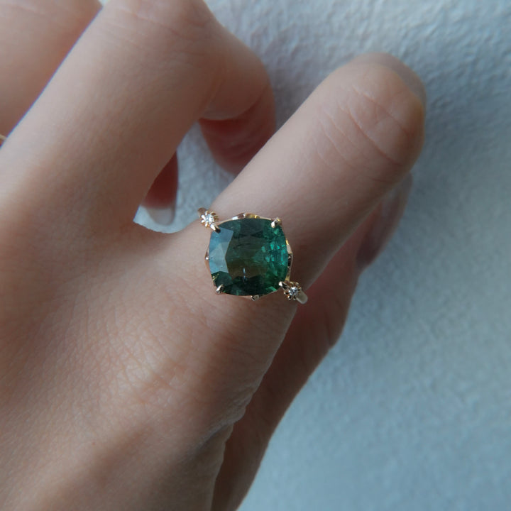 1876_Bicolor Tourmaline