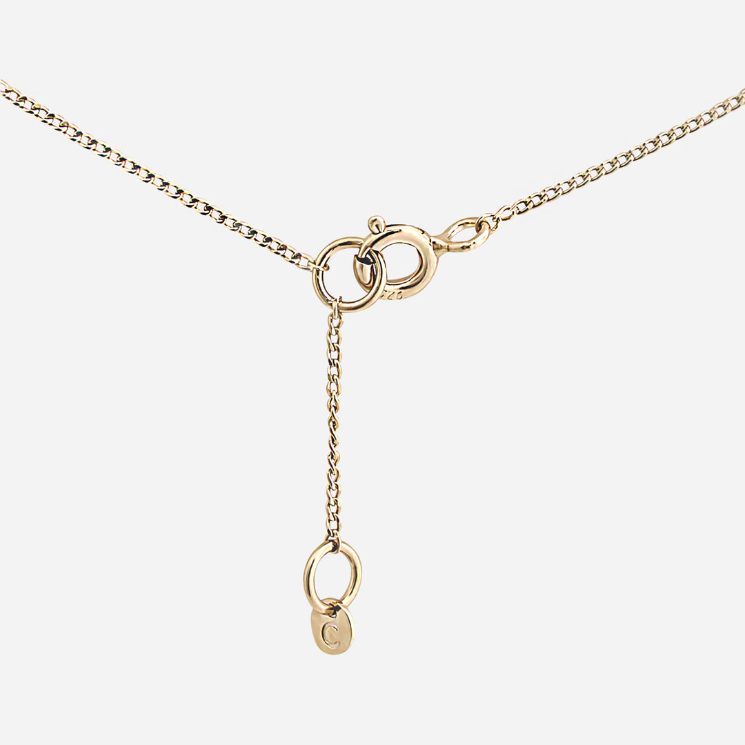 【期間限定 & 受注生産】CC_N2