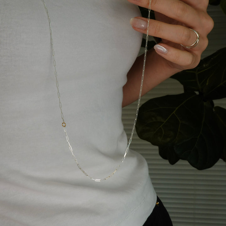 Particulas line 2way Neckless