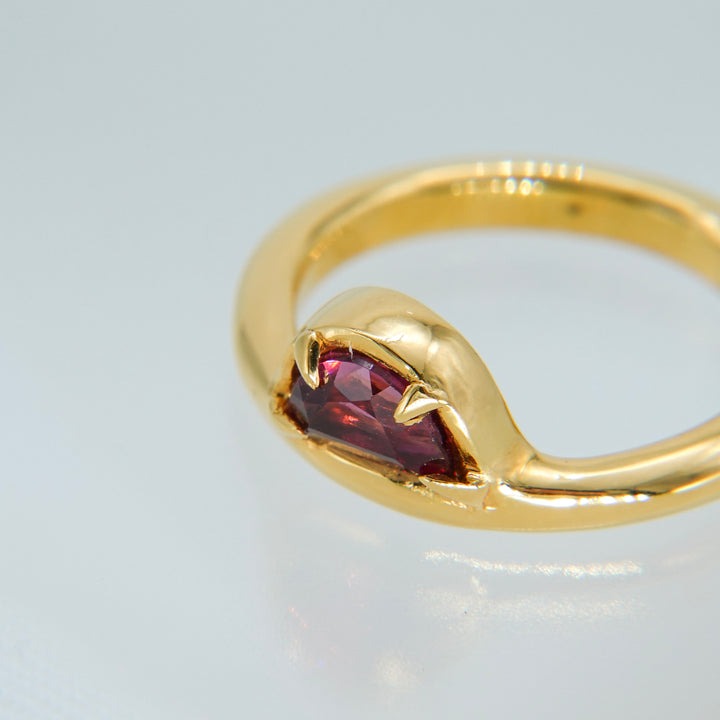 On the edge ring- Garnet