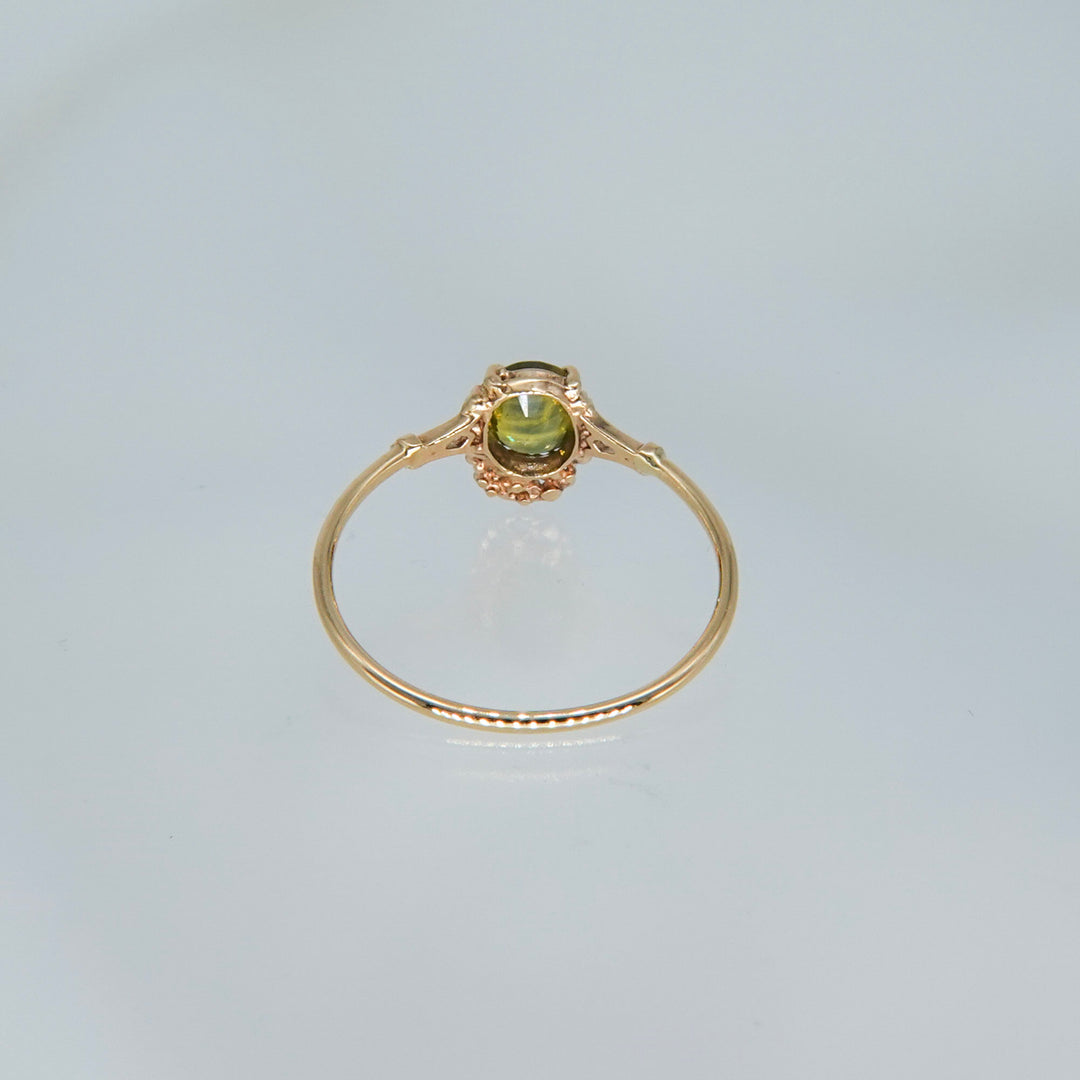 1642_Bicolor Sapphire