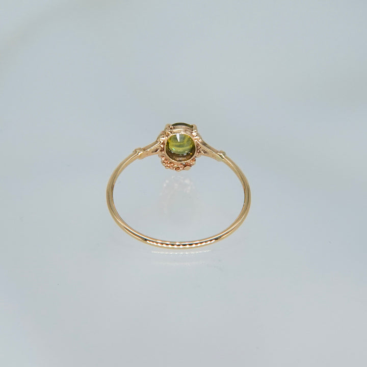 1642_Bicolor Sapphire