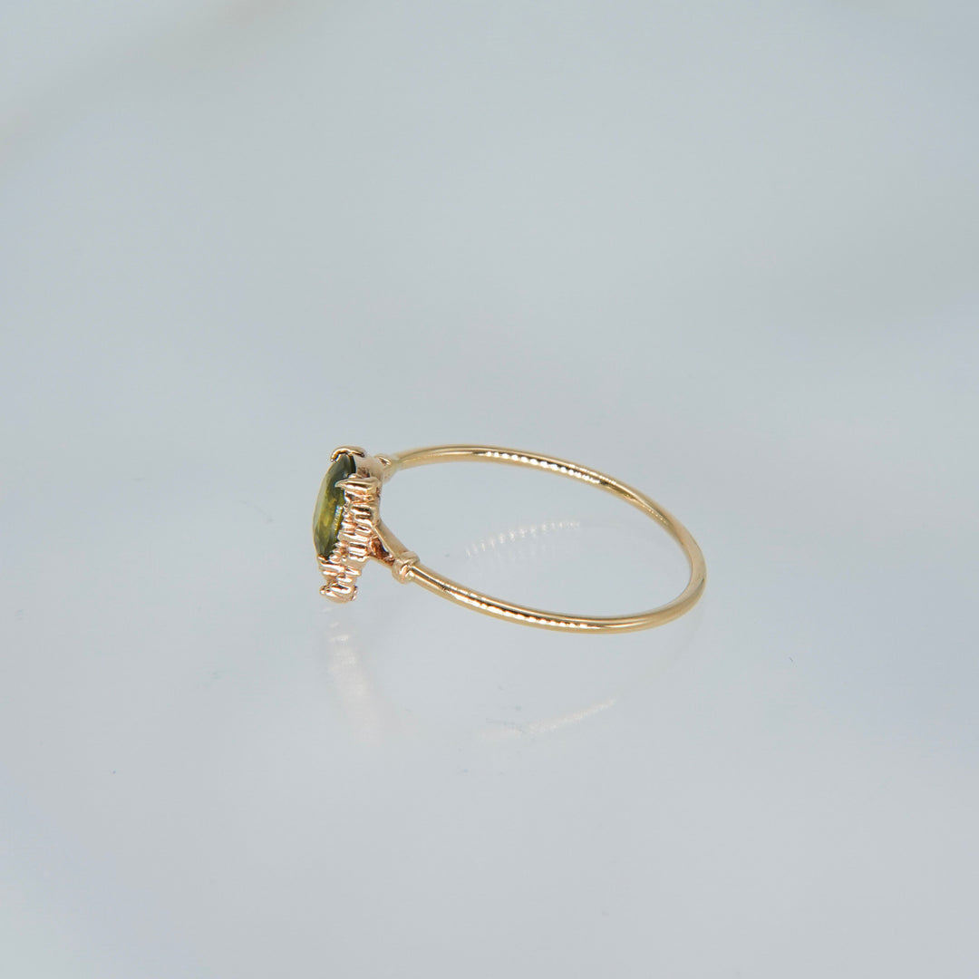 1642_Bicolor Sapphire