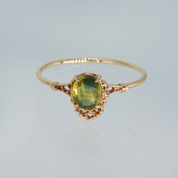 1642_Bicolor Sapphire