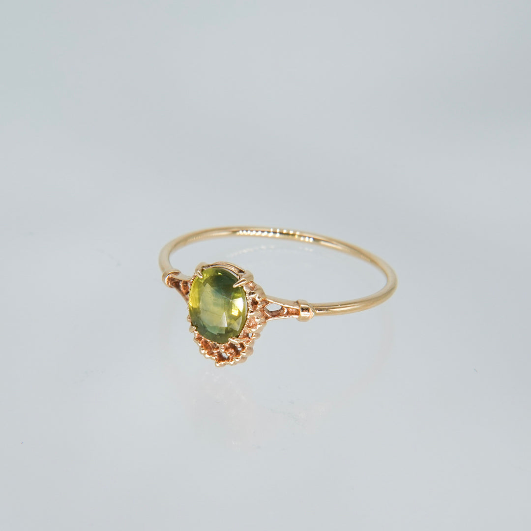 1642_Bicolor Sapphire