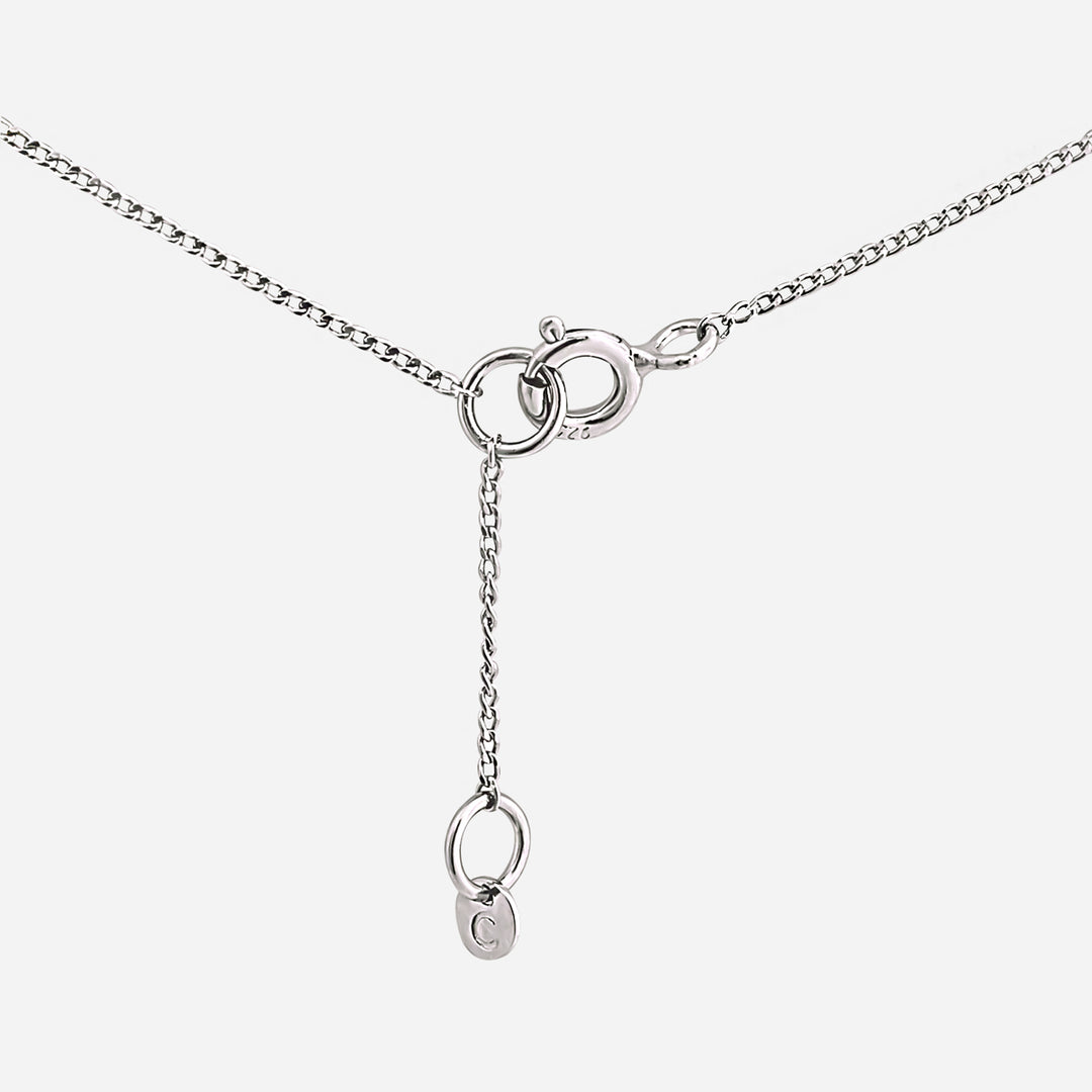 【期間限定 & 受注生産】CC_N1