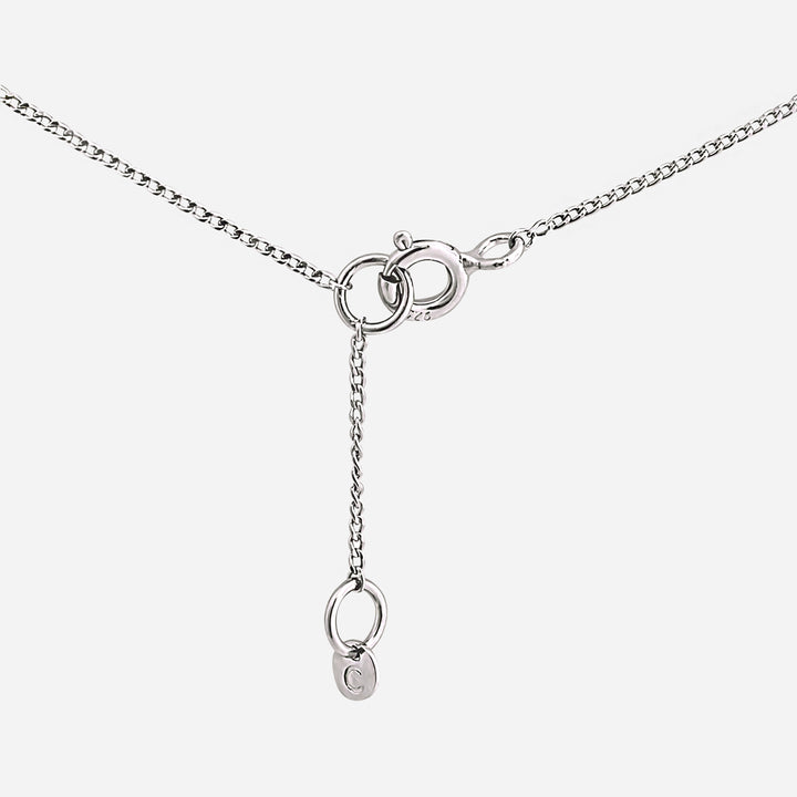 【期間限定 & 受注生産】CC_N1