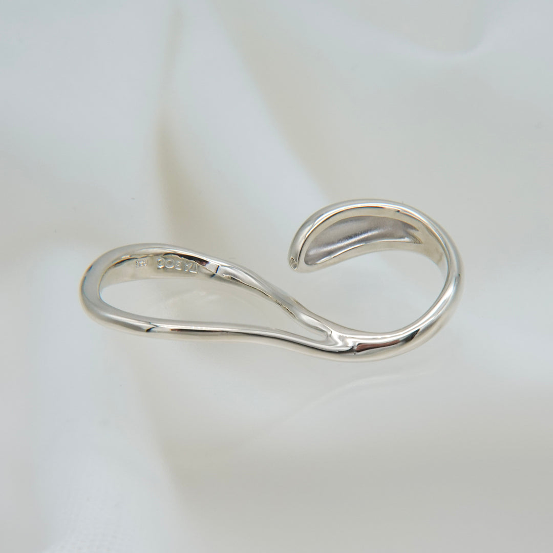 Hylo.017[DFR]_Flow Sense