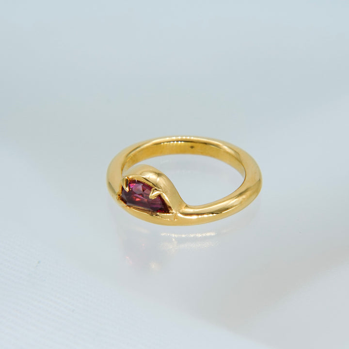 On the edge ring- Garnet