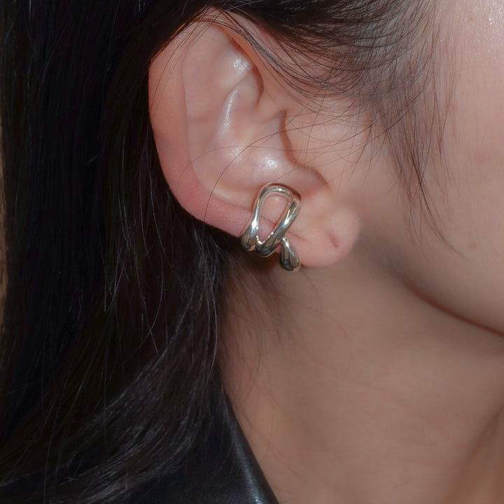 Hylo.008[Ec]_Inner Flow