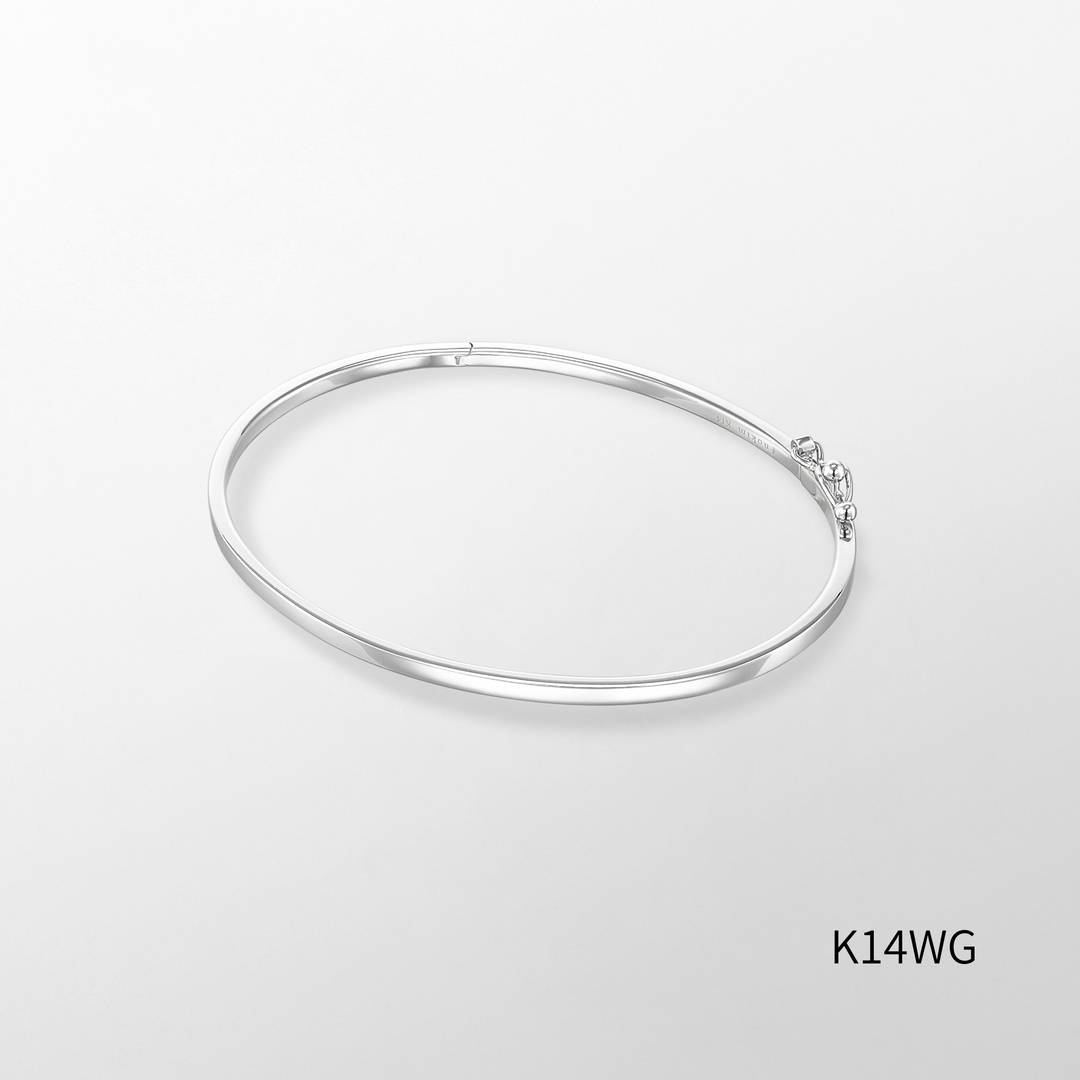 n series-bangle3