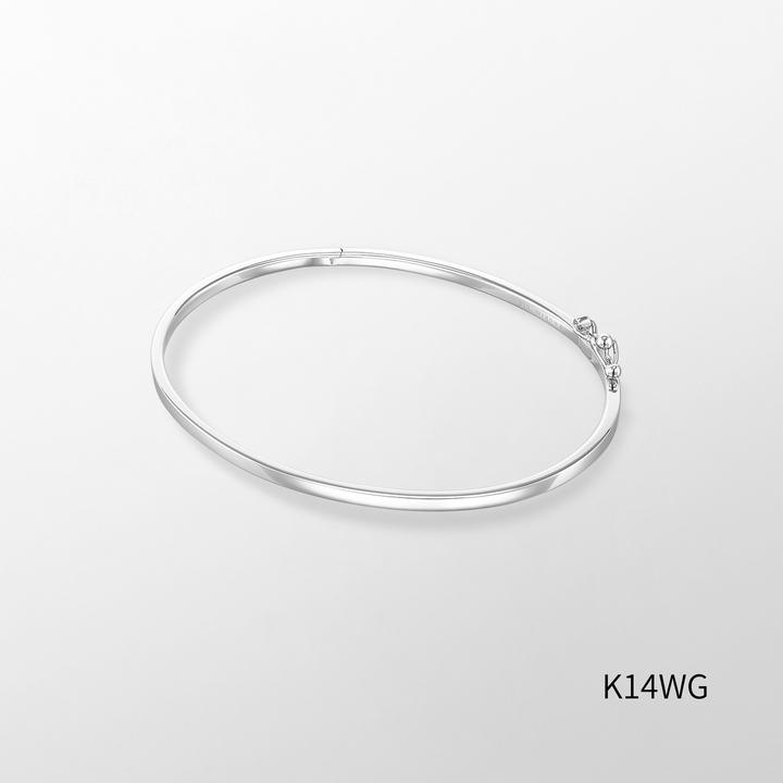 n series-bangle3