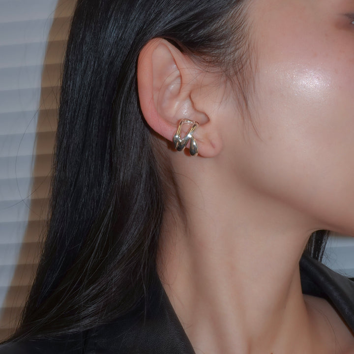 Hylo.008[Ec]_Inner Flow