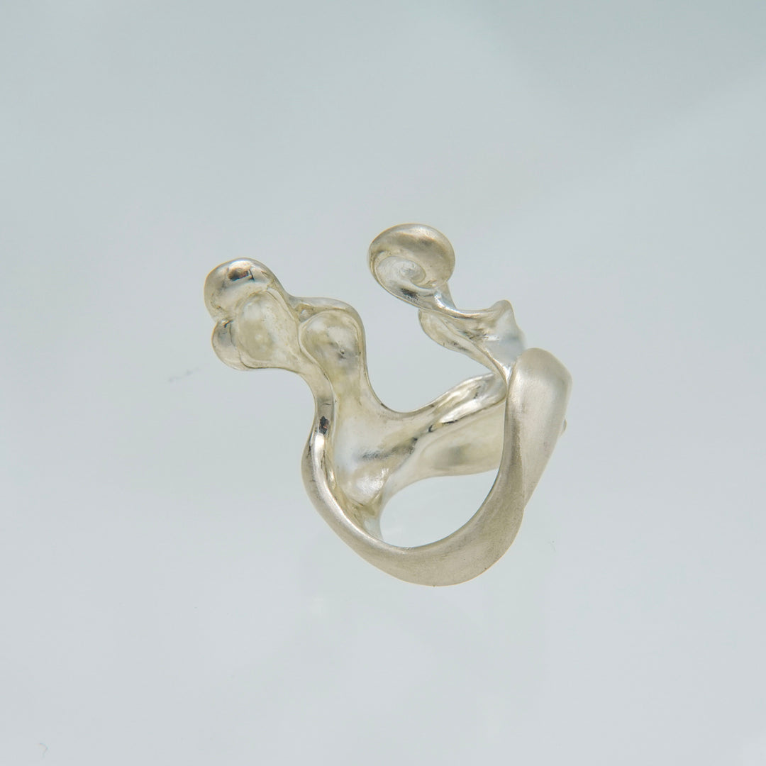 EROSION / Ring ( Ⅱ )