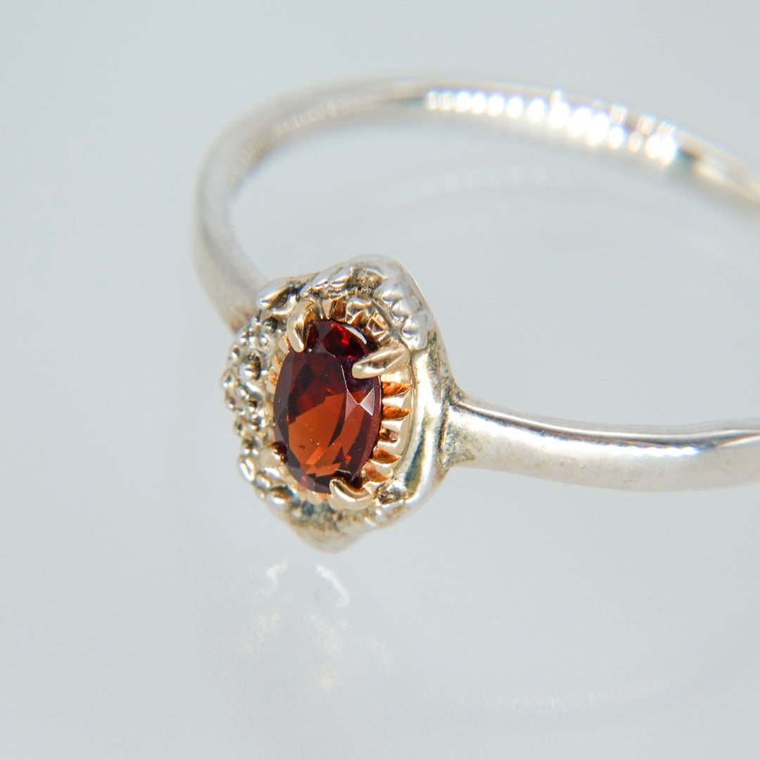 2336_Garnet