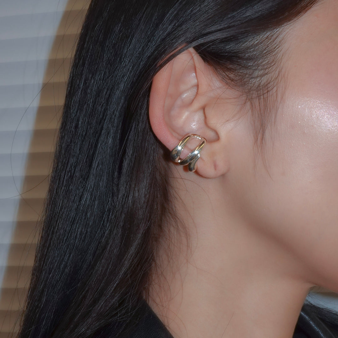 Hylo.008[Ec]_Inner Flow