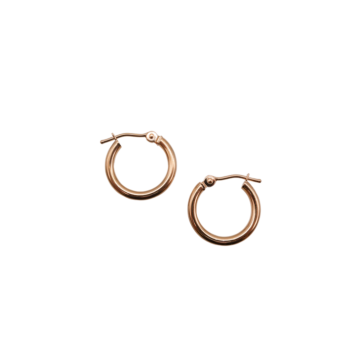 Small Gold Hoop Earrings