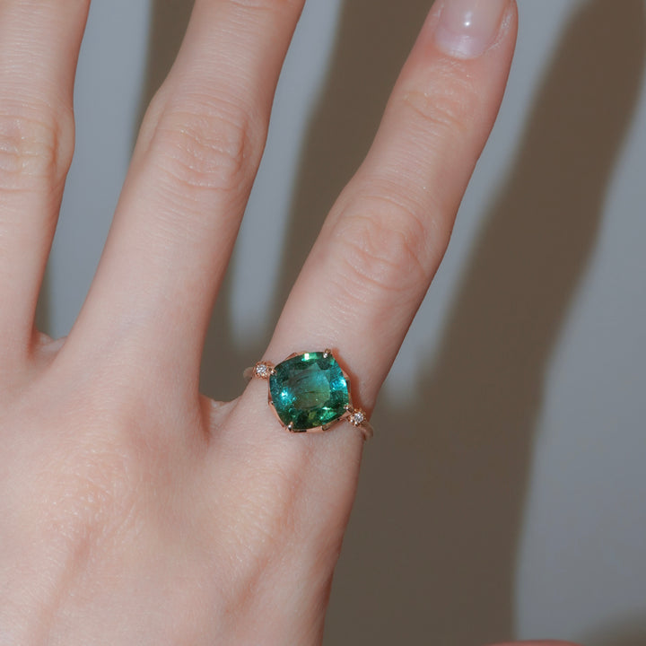 1876_Bicolor Tourmaline