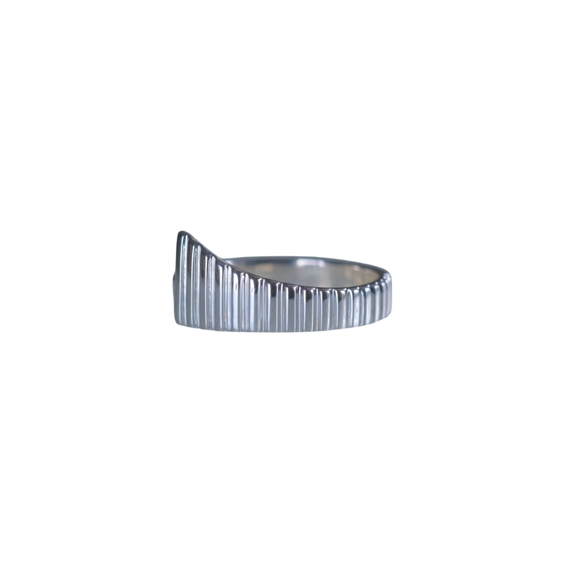Hallgrímskirkja ring　Msize