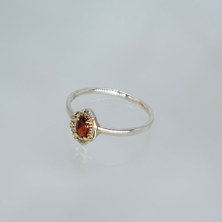 2336_Garnet