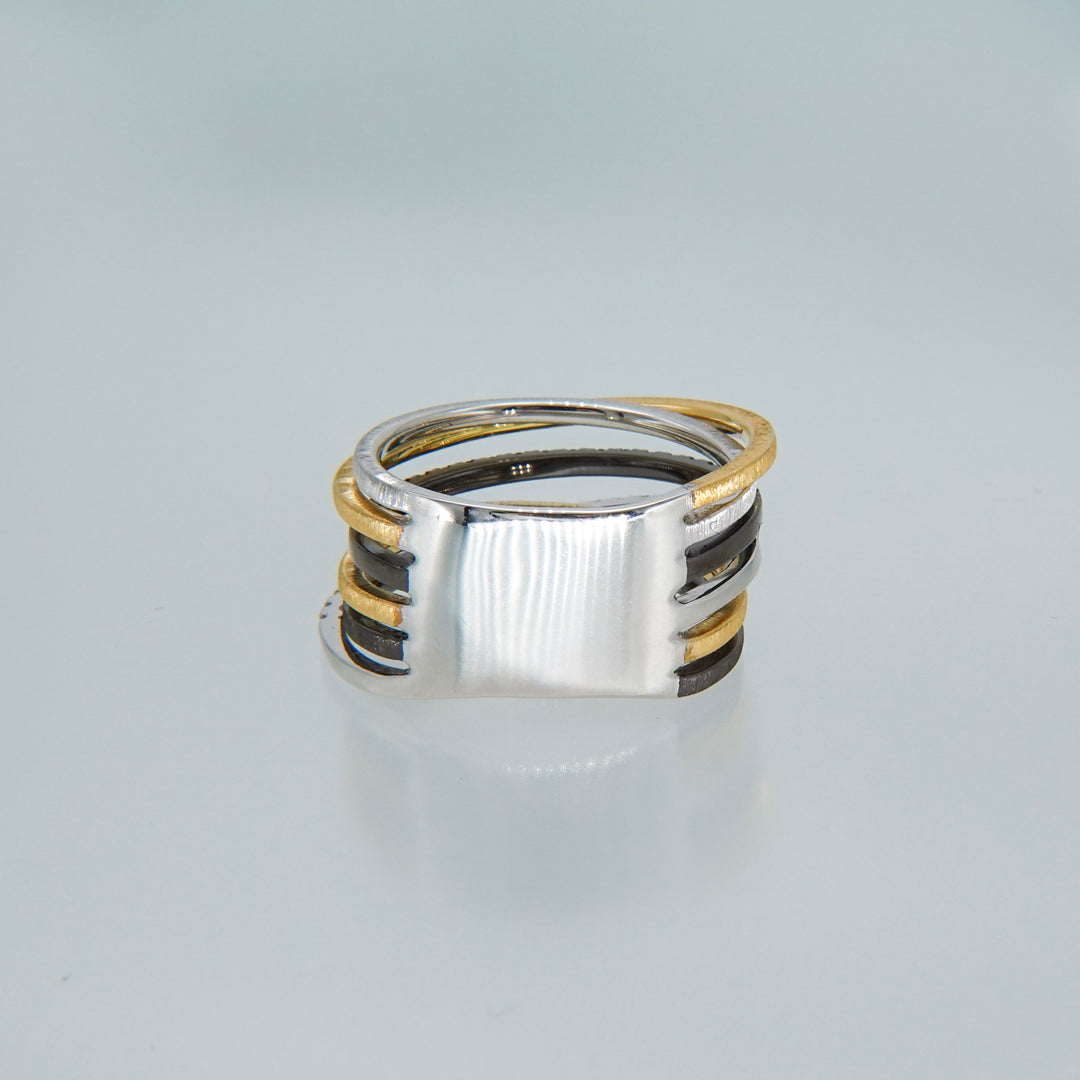 K18+Silver ring CMR9 コンビリング