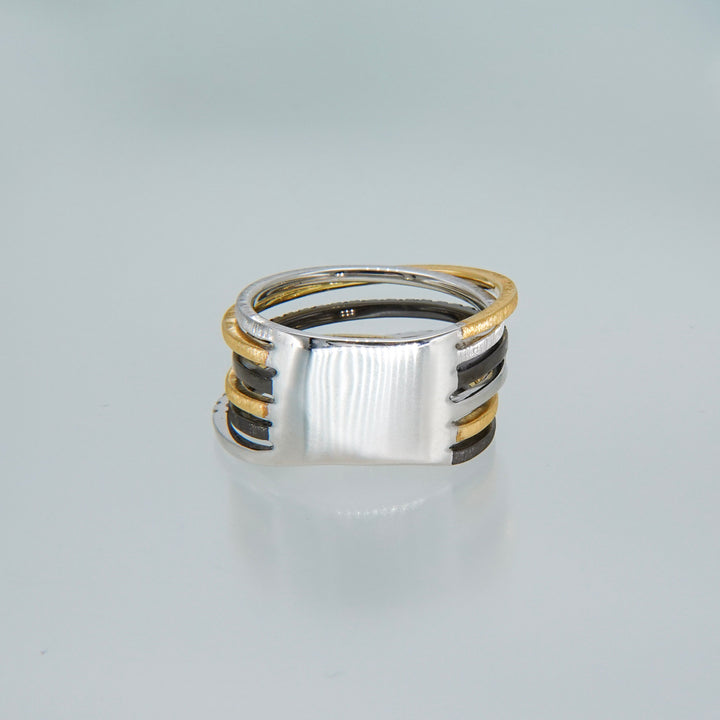 K18+Silver ring CMR9 コンビリング