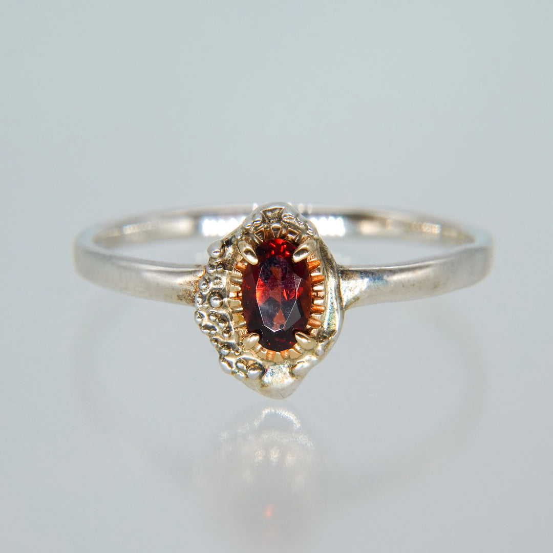 2336_Garnet
