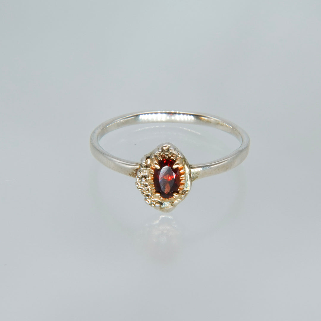 2336_Garnet