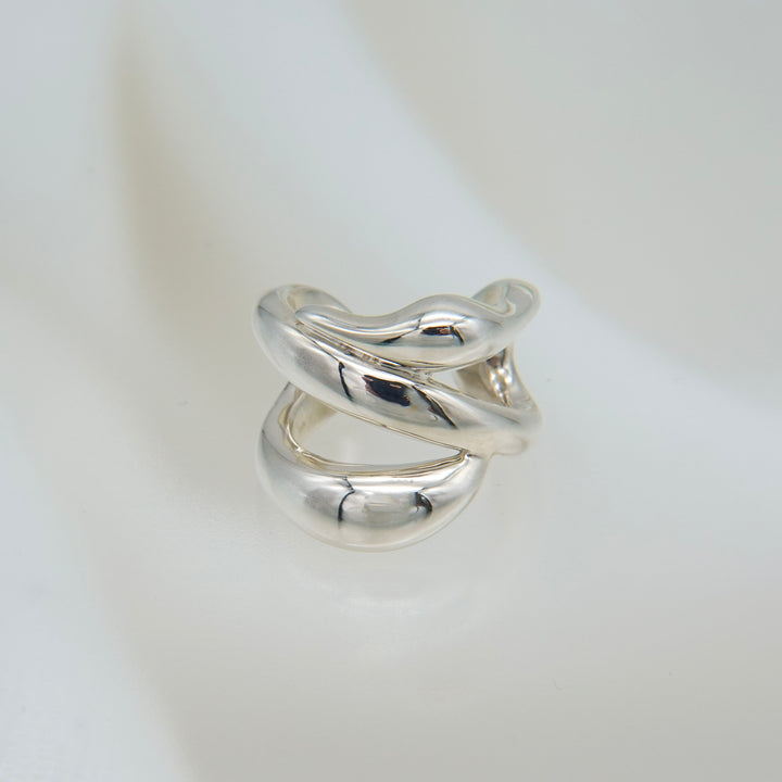 Hylo.008[Ec]_Inner Flow