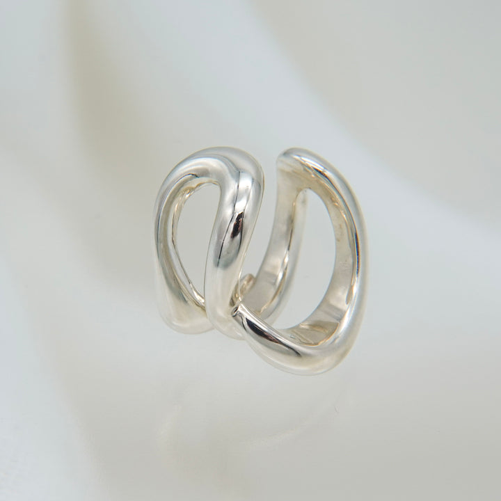 Hylo.008[Ec]_Inner Flow