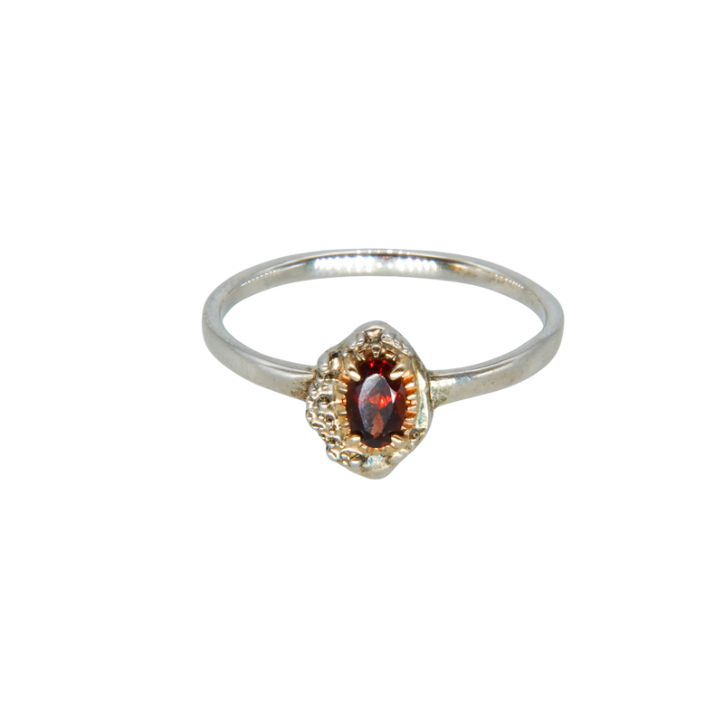 2336_Garnet