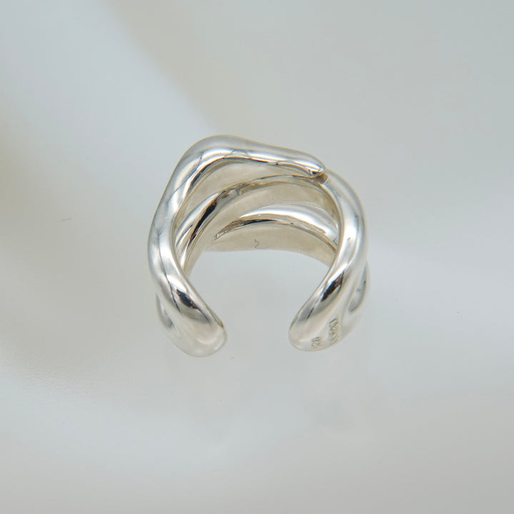 Hylo.008[Ec]_Inner Flow