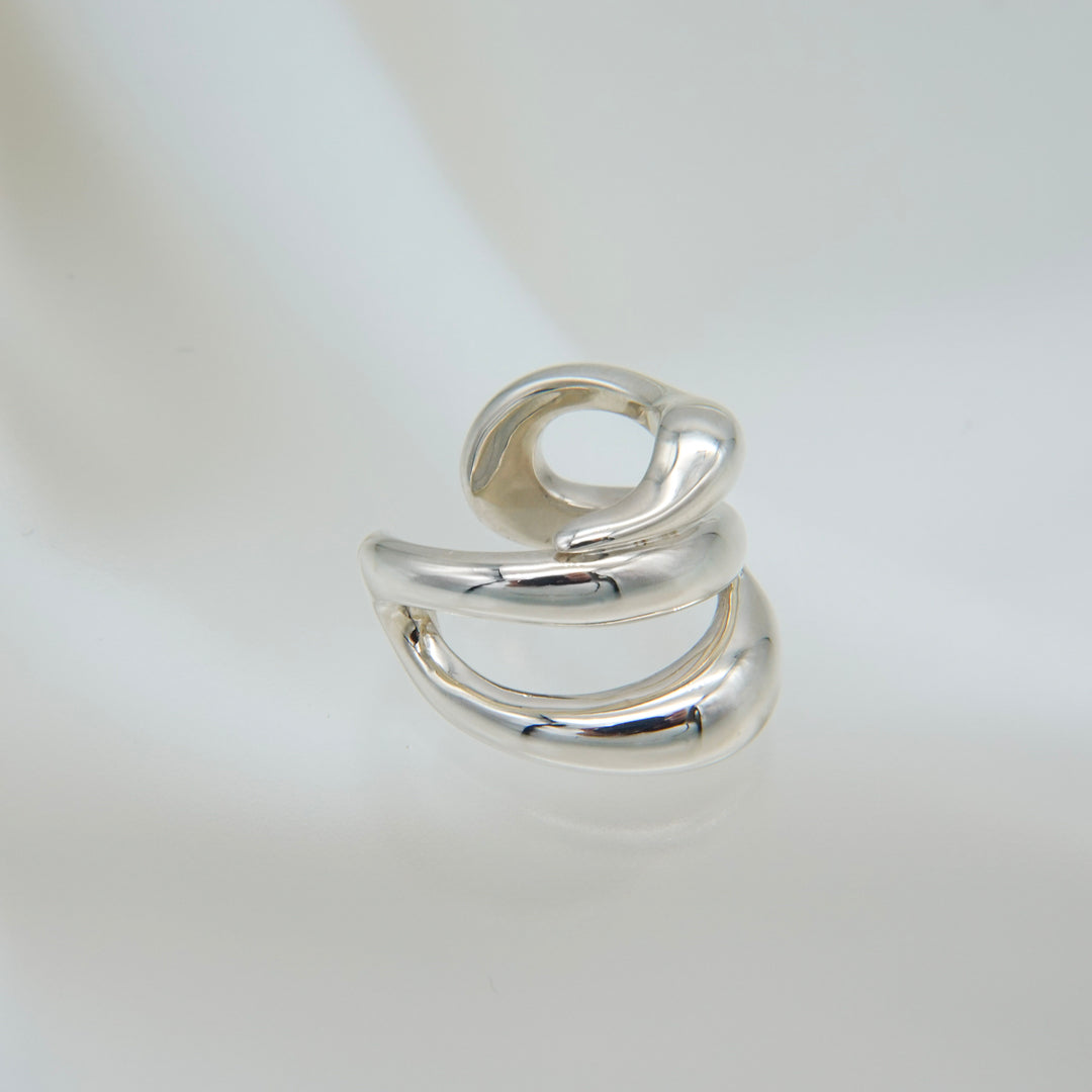 Hylo.008[Ec]_Inner Flow