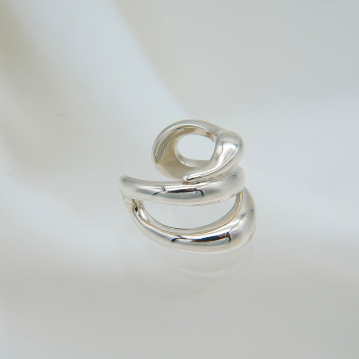 Hylo.008[Ec]_Inner Flow