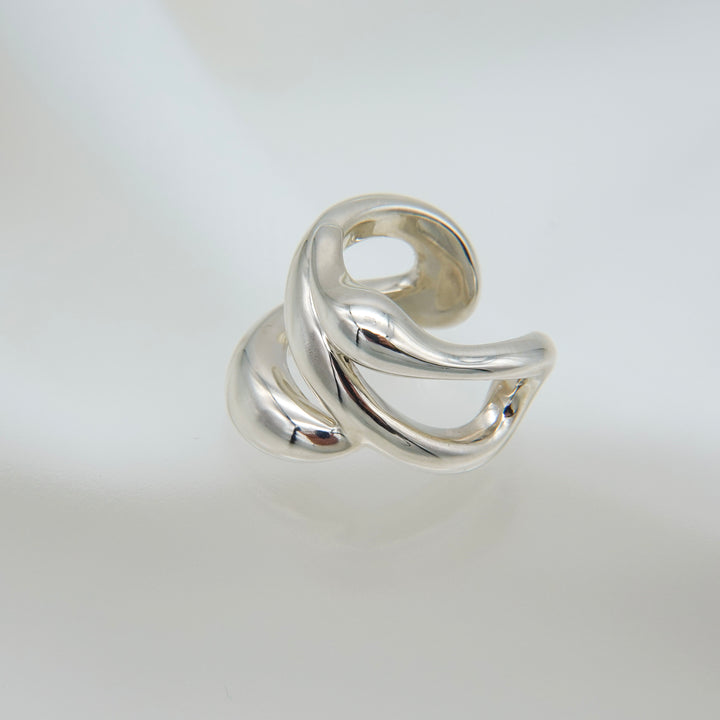 Hylo.008[Ec]_Inner Flow