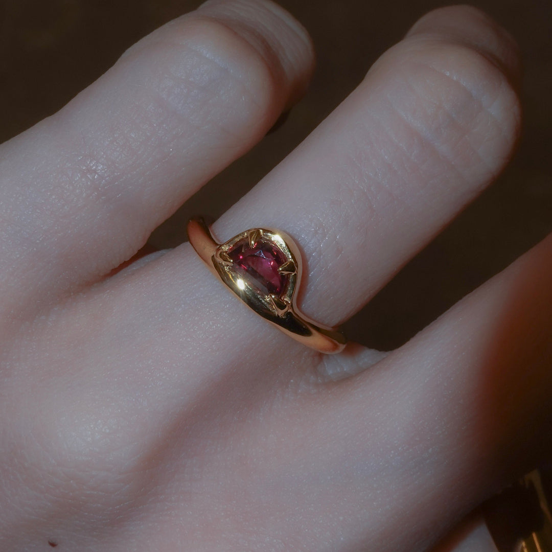 On the edge ring- Garnet