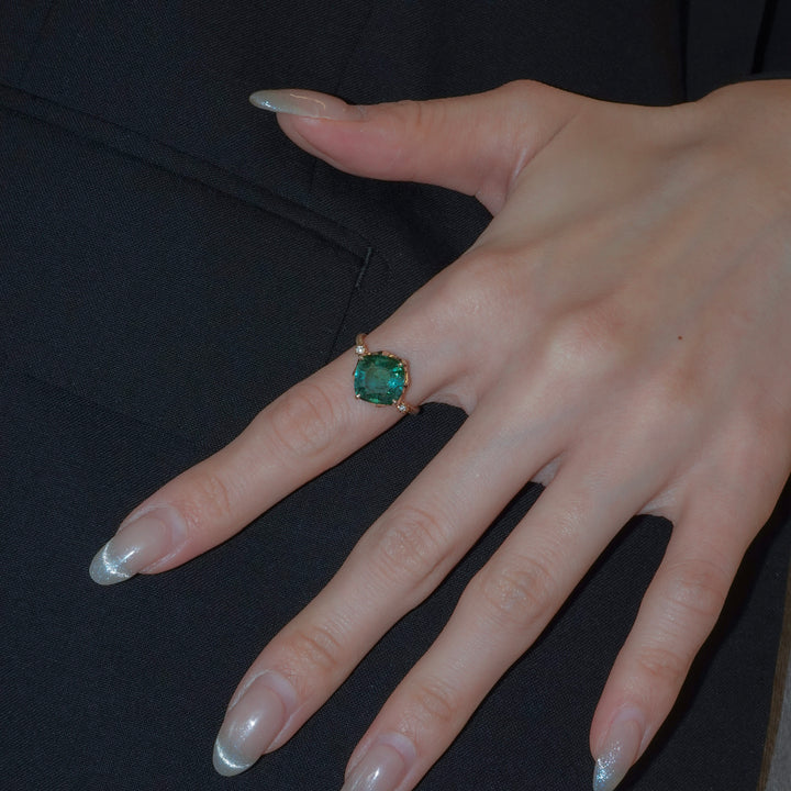 1876_Bicolor Tourmaline