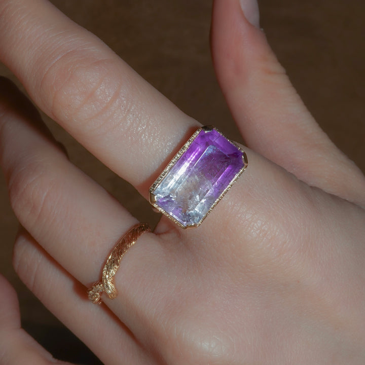 2053_Bicolor Amethyst