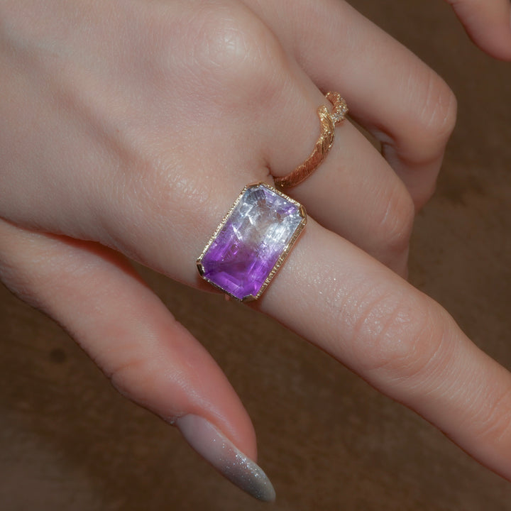2053_Bicolor Amethyst