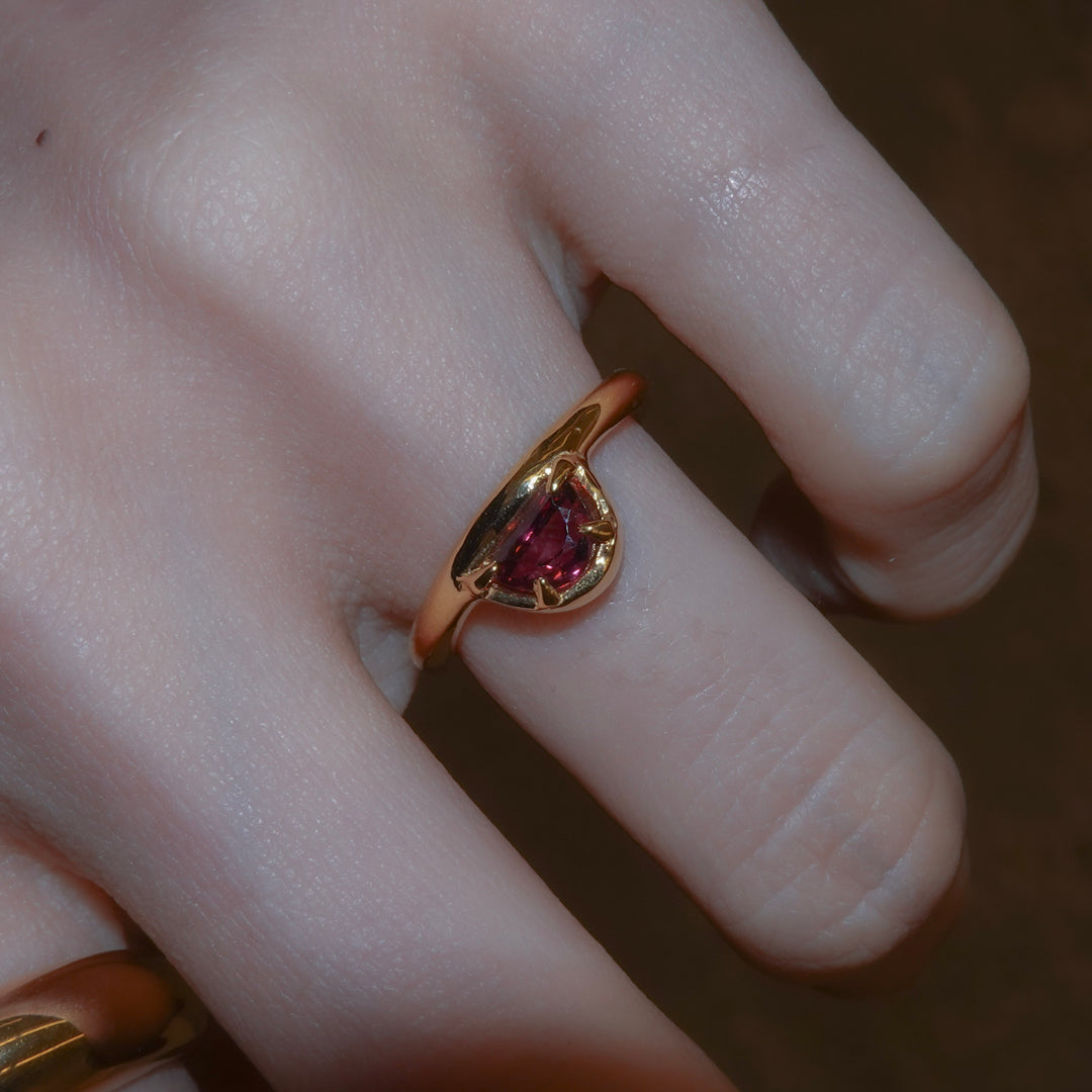 On the edge ring- Garnet