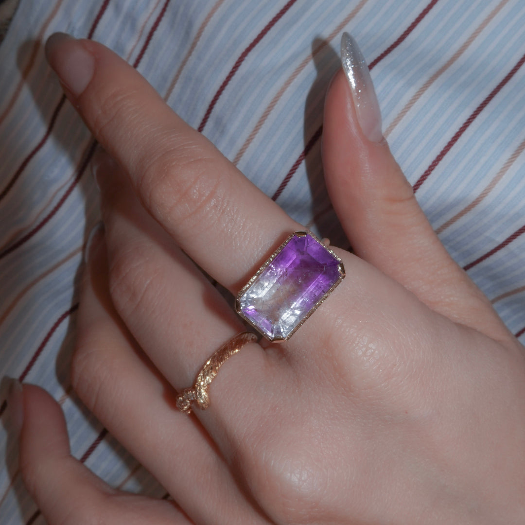 2053_Bicolor Amethyst
