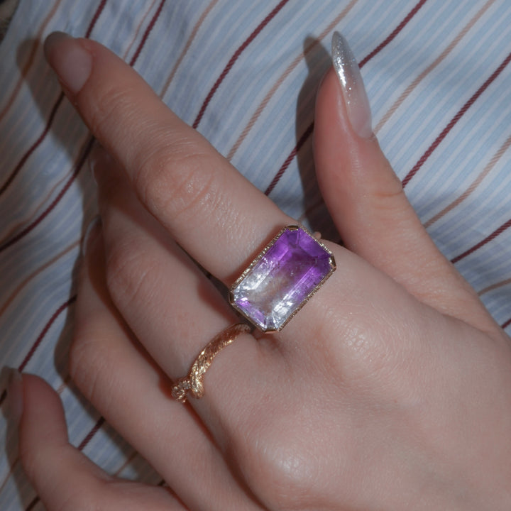 2053_Bicolor Amethyst