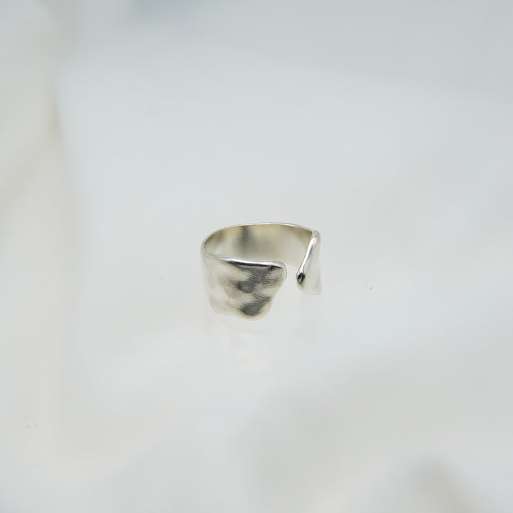 Fragment ring M