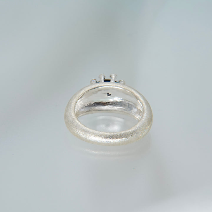 8 PLANETS Ring2 (BLACK)